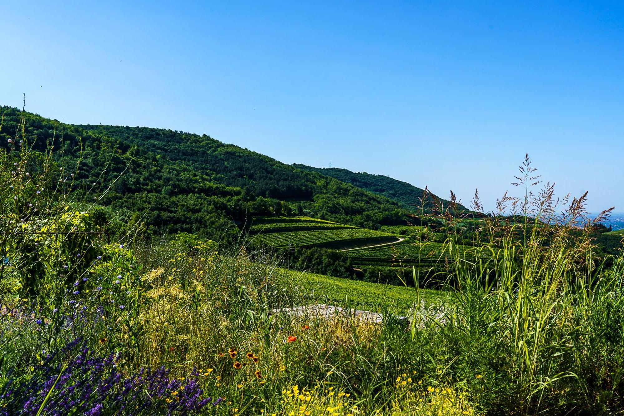 Villa Balis Crema Verona Hills (Adults Only) 그레짜나 외부 사진